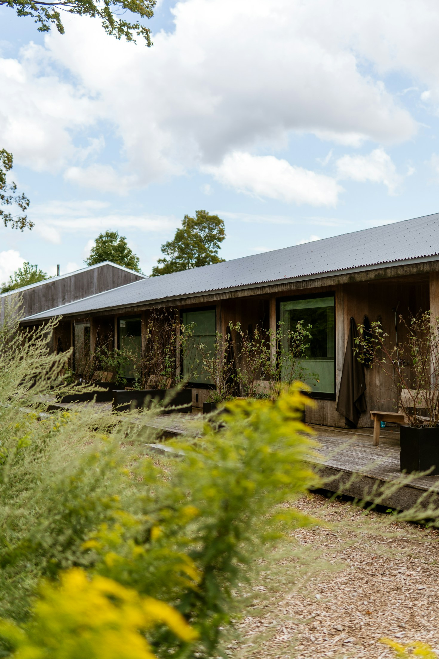 Understanding the Impact of Green Home Choices